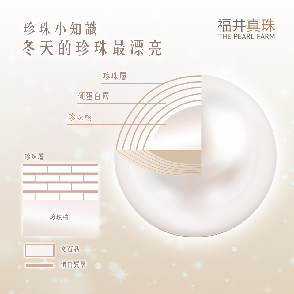 珍珠的構造 - 福井真珠珍珠知識分享