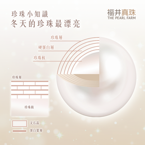珍珠的構造 - 福井真珠珍珠知識分享